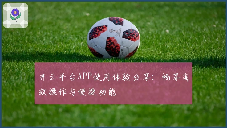 开云平台APP使用体验分享:畅享高效操作与便捷功能